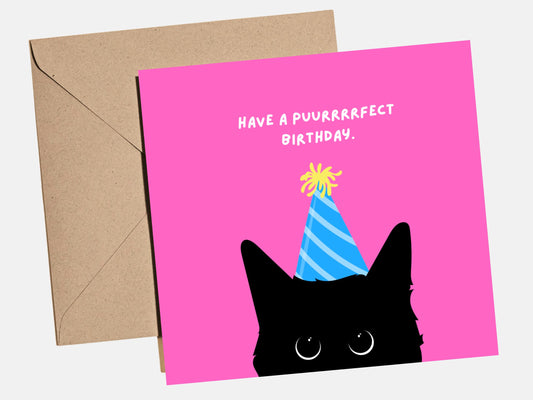 Funny black cat birthday card wearing a party hat on a bright pink background, shown with a brown kraft envelope.
